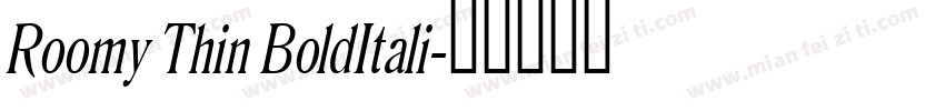 Roomy Thin BoldItali字体转换